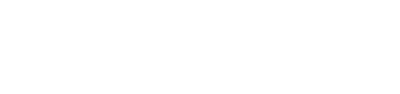 The Cool Hunter